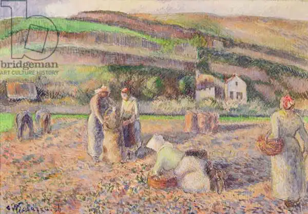 Pissarro, Camille: The Potato Harvest