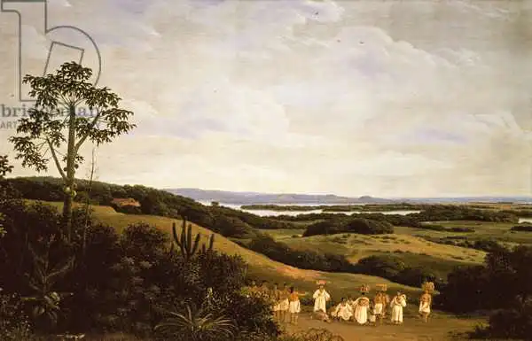 Post, Frans Jansz: Panoramic View in Brazil with a River in the Distance