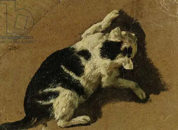 Velde, Adriaen van de: Cat playing