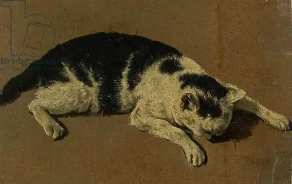 Velde, Adriaen van de: Cat lying down