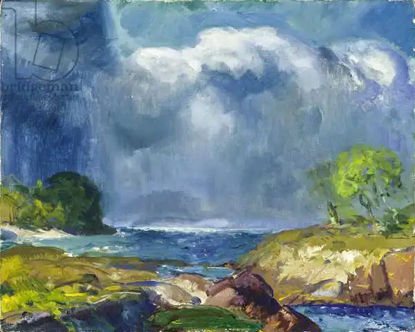 Bellows, Wesley George: La tempête à venir