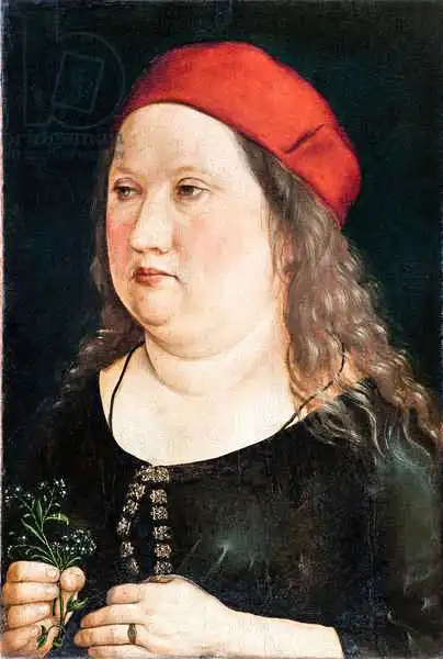 Dürer, Albrecht: Unknown sitter