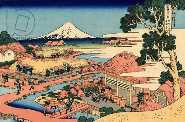 Hokusai, Katsushika: The Tea plantation of Katakura in the Suruga Province
