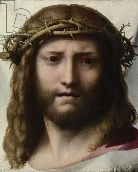Correggio,: Head of Christ