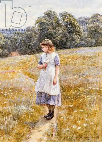 Allingham, Helen: Daydreamer