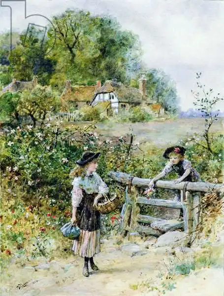 Coleman, William Stephen: The Stile