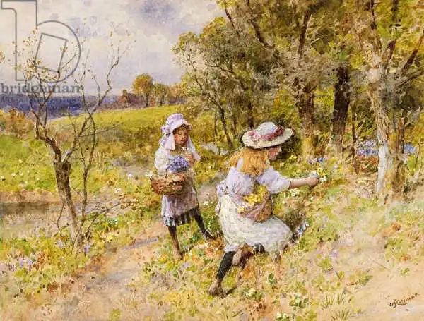 Coleman, William Stephen: The Primrose Gatherers