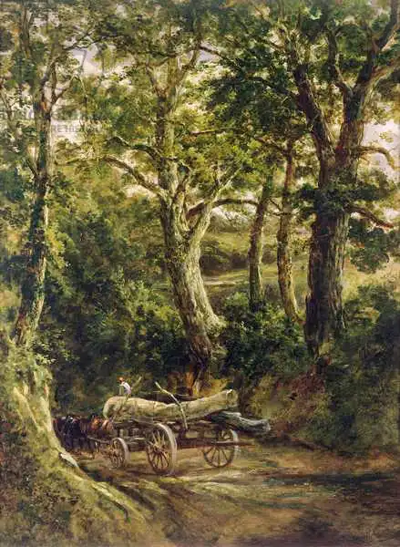 Earp, Henry: Gathering Timber
