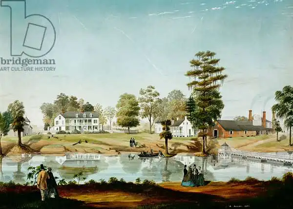 Persac, Adrien: Olivier Plantation