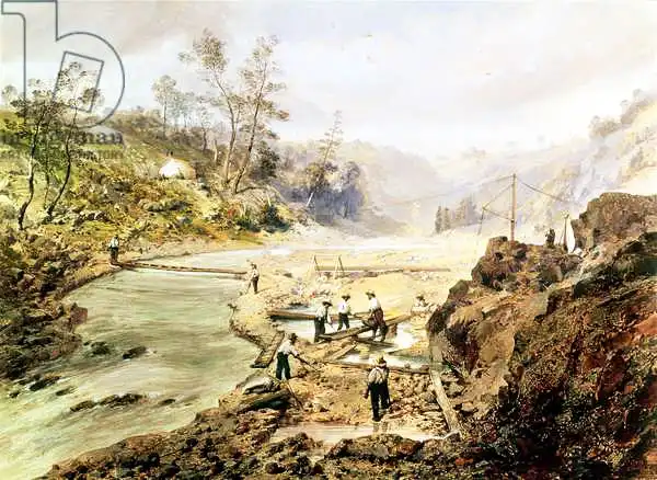 American school (19th century): FourtyNiners 