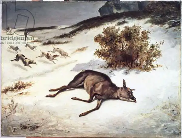 Courbet, Gustave: Hind Forced Down in the Snow