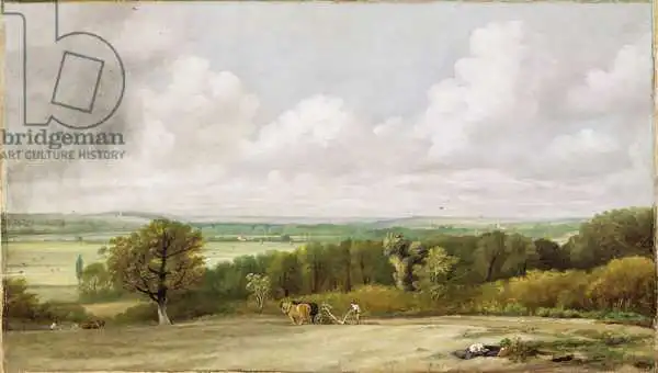 Constable, John: Landscape: Ploughing Scene in Suffolk (A Summerland)