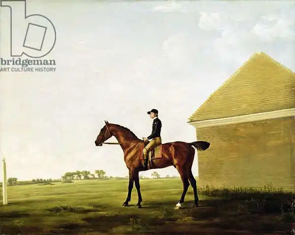 Stubbs, George: Turf