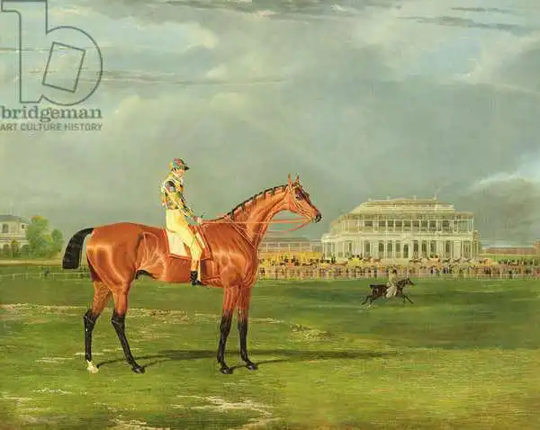 Herring Snr, John Frederick: Memnon