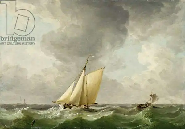 Brooking, Charles: A Cutter in a Strong Breeze