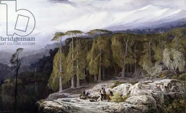 Lear, Edward: The Forest of Valdoniello, Corsica
