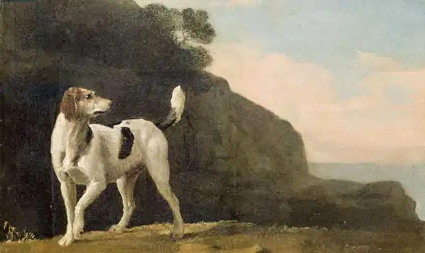 Stubbs, George: A Foxhound
