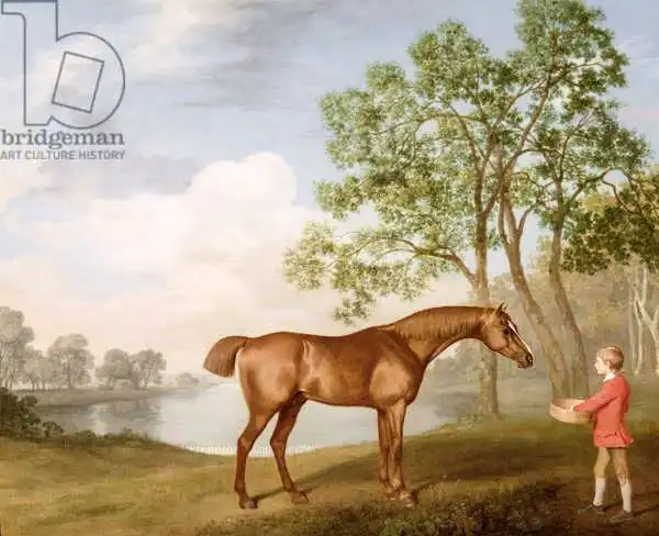 Stubbs, George: Pumpkin with a Stable-Lad