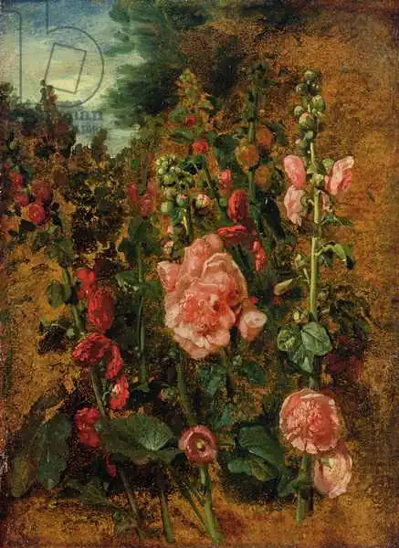Constable, John: Study of Hollyhocks