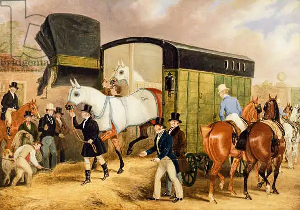 Pollard, James: The Derby Pets: The Arrival