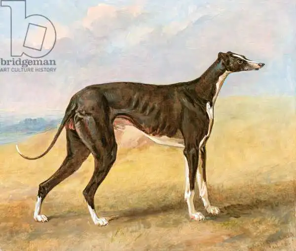 Garrard, George: L