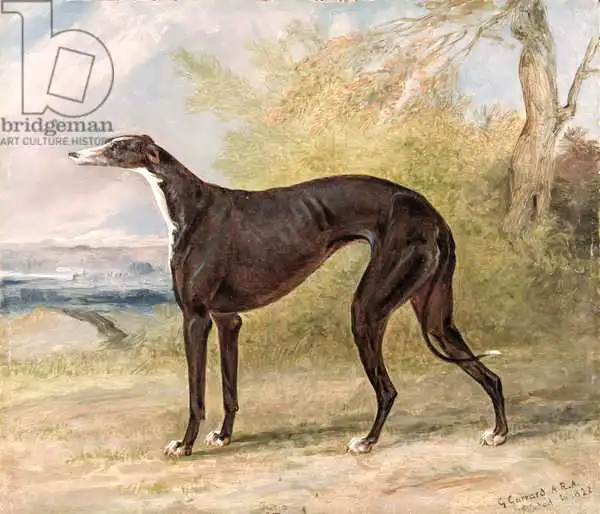 Garrard, George: L