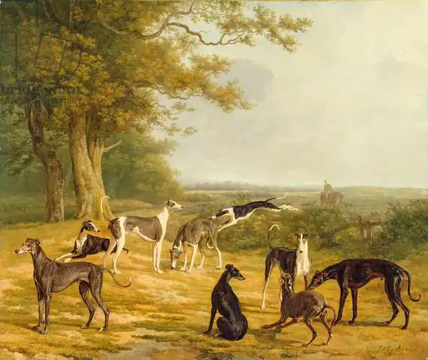 Agasse, Jacques-Laurent: Nine Greyhounds in a Landscape