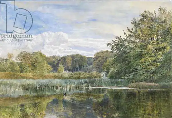 Cole, George Vicat: The Mill Pond, Evelyn Woods