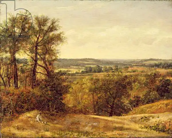 Constable, John: Dedham Vale