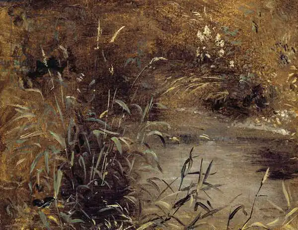 Constable, John: Rushes by a Pool