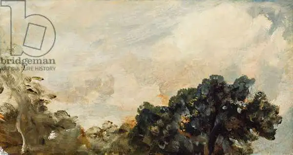 Constable, John: Cloud Study with Trees