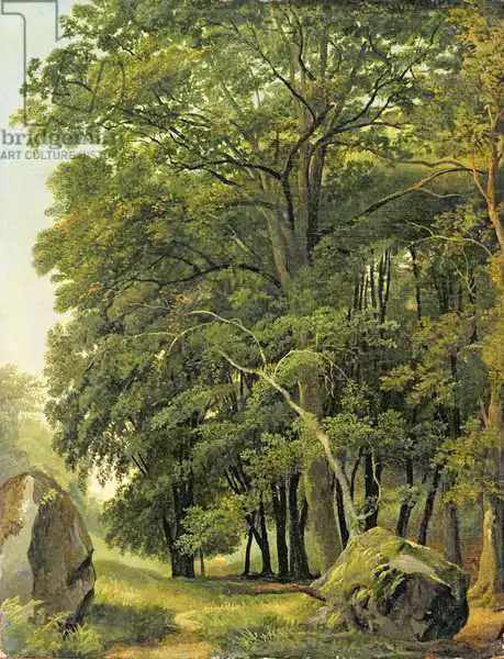 Reinagle, Ramsay Richard: A Wooded Landscape