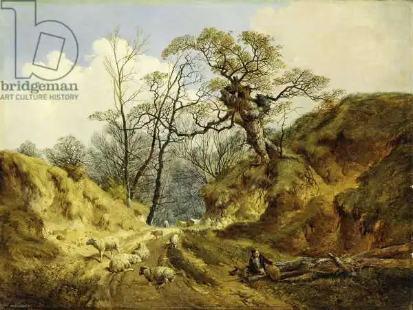Ladbrooke, John Berney: Crown Point, Whitlingham, near Norwich
