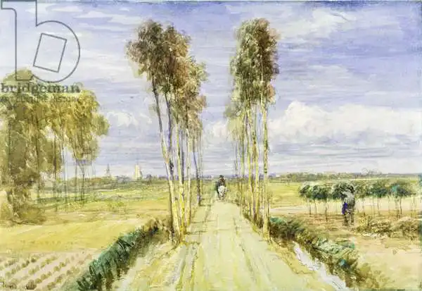 Cox, David: The Poplar Avenue