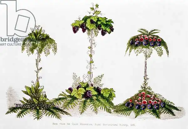 English school (19th century): Primo premio per la decorazione della tavola, Royal Horticultural Society