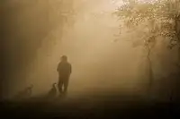 Marini, Roberto: a walk in the fog