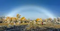 Zhu, Hua: Fog bow