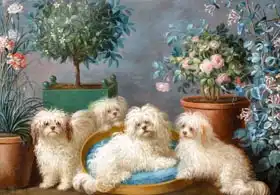 Bachelier, Jean Jacques: Favorite quartet