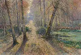Radimsky, Vaclav: A forest path