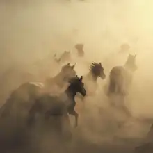 Taşkın, Hüseyin: migration of horses