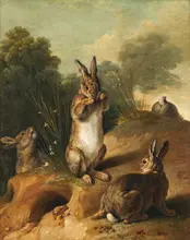 Desportes, Alexandre-Francois: Rabbits