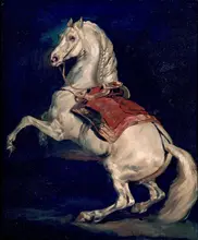Géricault, Théodore: Napoleon