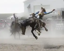 Chang, Cheng: Bareback riding