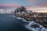 Zhu, David:  A Colorful Rainy Morning