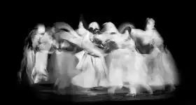 Assy, El Nader: Sufi Dance in Motion