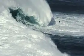 Correia, Rui: Nazaré North Canyon