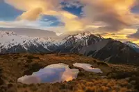 Zhang, Yan: Mountain Light