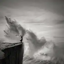 AGNIRIBE: Braving the Storm