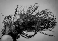 Varasteh, Vahid: Wave