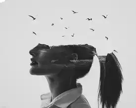 Demir, Erkin: Zephyr